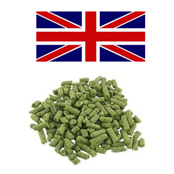 Cat--EnglishHopPellets