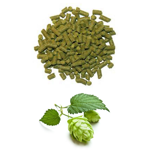 brewing-hops-cat.jpg