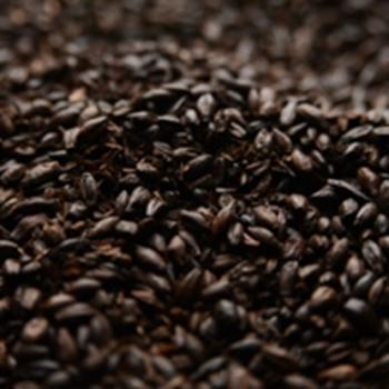 Black Malt American Briess 