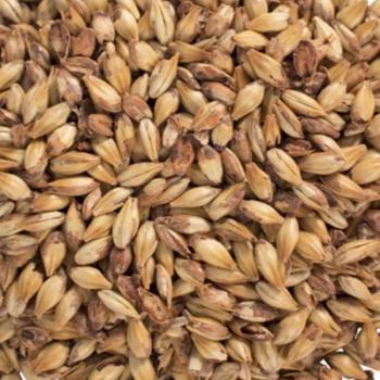 Munich Dark Aromatic  Malt 20L American Briess 
