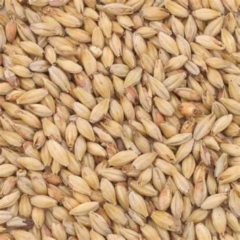 Munich Light Bonlander Malt 10L American Briess 
