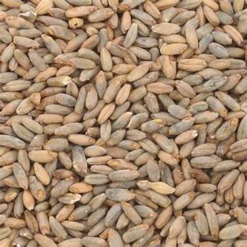 Rye Malt German Weyermann 