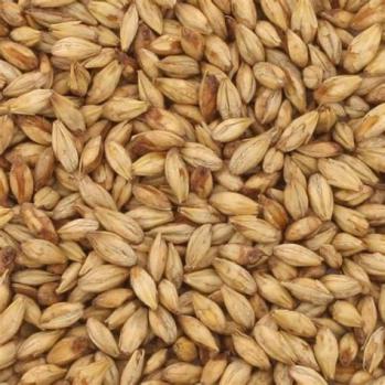 Mesquite Smoked Malt American Briess 