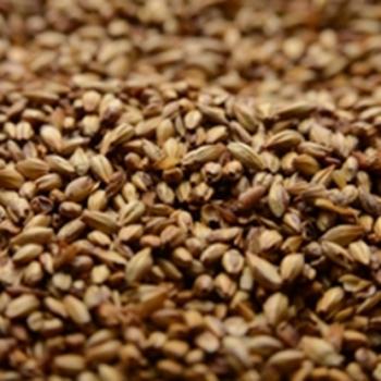 Crystal Malt 40L American Briess 