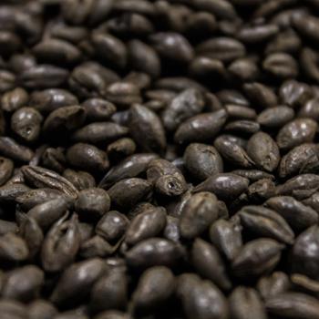 Black Malt by Crisp Malting