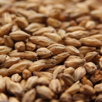 Oak Smoked Wheat Malt German Weyermann