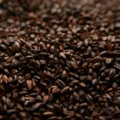 American-chocolate-malt