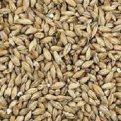 Briess-2-row-malt