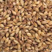 Briess-Aromatic-Munich-Malt