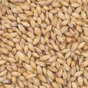 Briess-Bolander-Munich-Malt