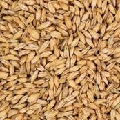 Briess-Distillers-Malt