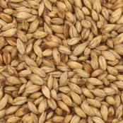 Briess-Smoked-Malt