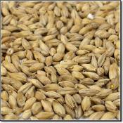 Briess-Vienna-Malt