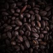 Briess-blackprinz-malt