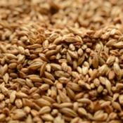 Briess-cherrywood-smoked-malt