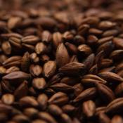Crisp-pale-chocolate-malt