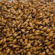 Dingemans-special-b-malt