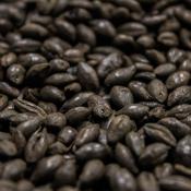 English-black-malt