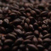 English-roasted-barley