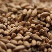 Munton-Maris-Otter-Pale-Malt