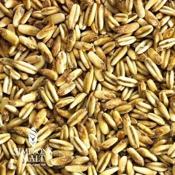 Simpsons-golden-naked-oats