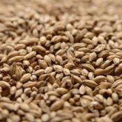 Simpsons-peated-malt