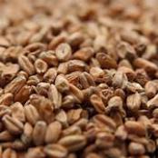 Weyermann-Dark-Wheat-Malt