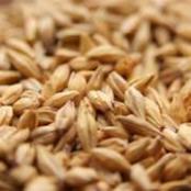 Weyermann-acidulated-malt