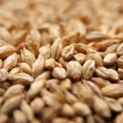 Weyermann-carafoam-malt