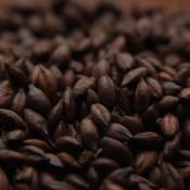 Weyermann-dehusked-carafa-type-2-malt