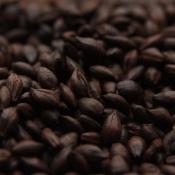 Weyermann-dehusked-carafa-type-3-malt