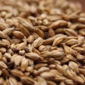 Weyermann-melanoidin-malt