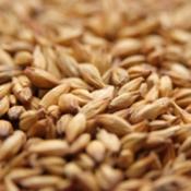 Weyermann-vienna-malt