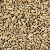 rahr-2-row-malt