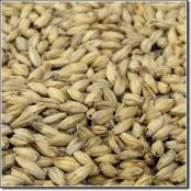 rahr-6-row-malt