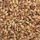 Munich Dark Aromatic  Malt 20L American Briess 