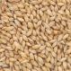 Munich Light Bonlander Malt 10L American Briess 