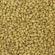 White Wheat Malt American Briess 
