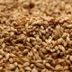 Apple Wood Smoked Malt American Briess 