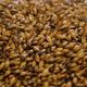 Special-B Malt Belgian Dingeman 