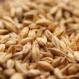 Acidulated Malt German Weyermann 