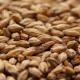 Oak Smoked Wheat Malt German Weyermann