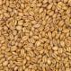 Torrified Wheat Malt American 