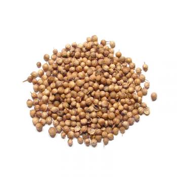 Coriander Seeds