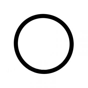 O-Ring for Cornelius Keg