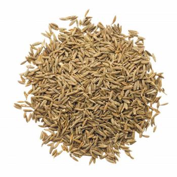Cumin Seed