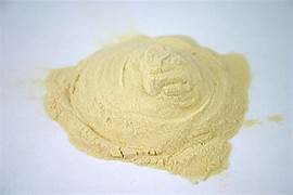 Yeast Starter