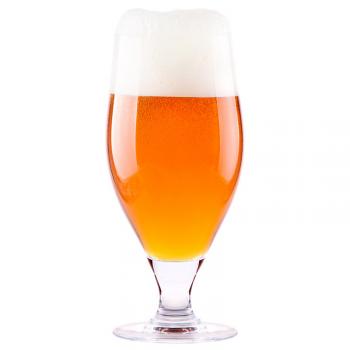 Boston Winter Lager Home Brew Extract Recipe Kit