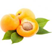 Apricot