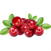 Cranberry